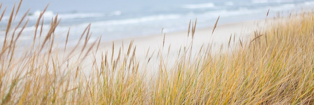 landschaft_ostsee_grömitz